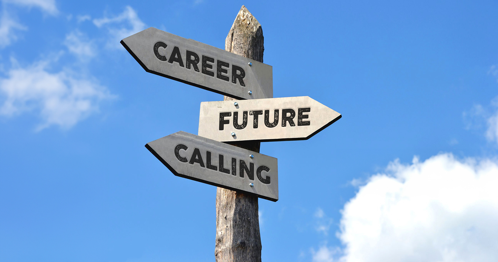 Career signpost